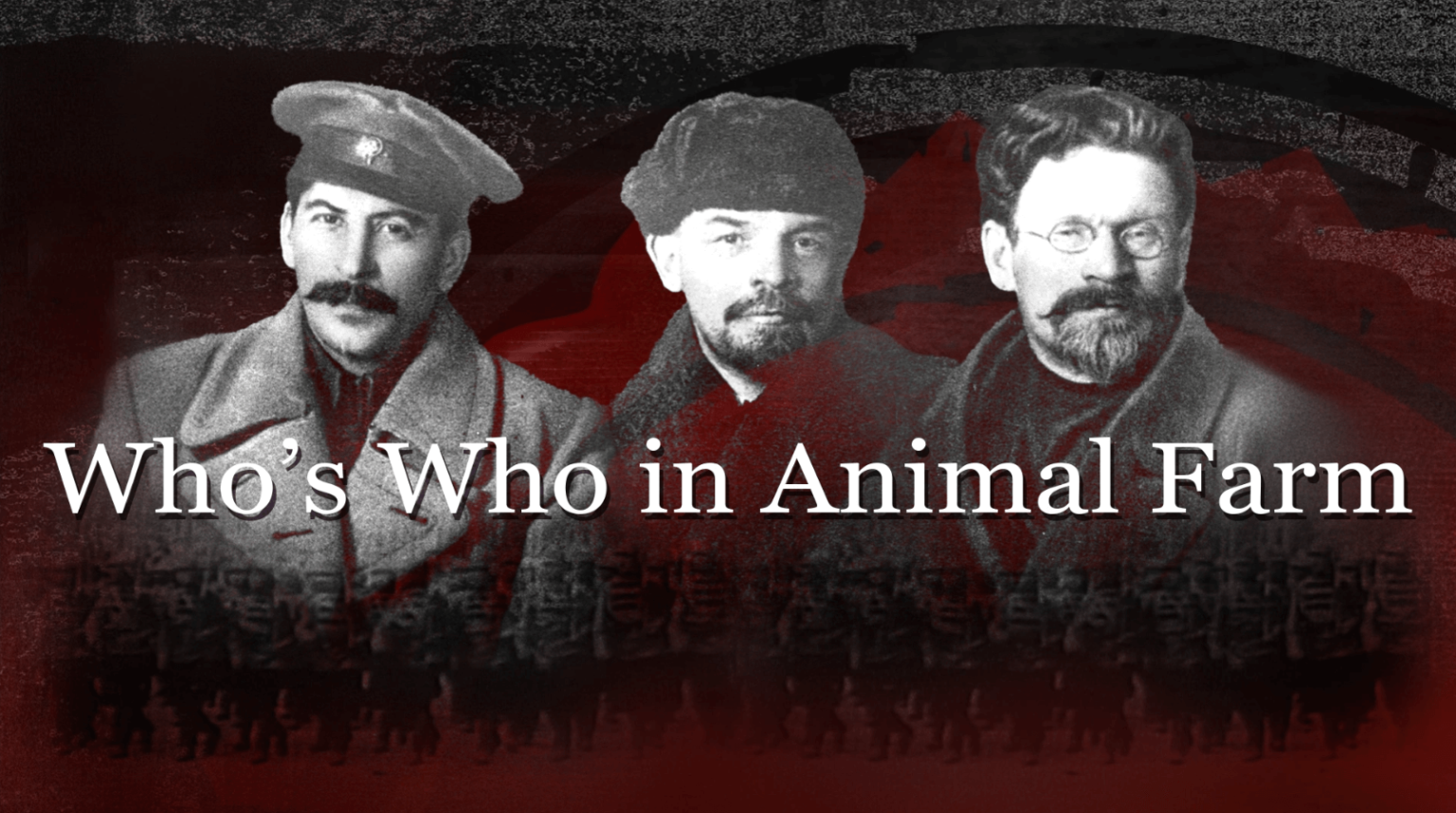 Click View Animal ClickView Collection – TEACHFLIX